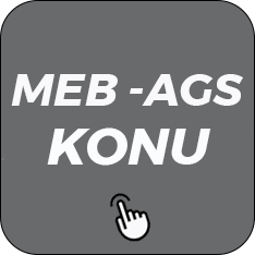 MEB AGS Konu Anlatım